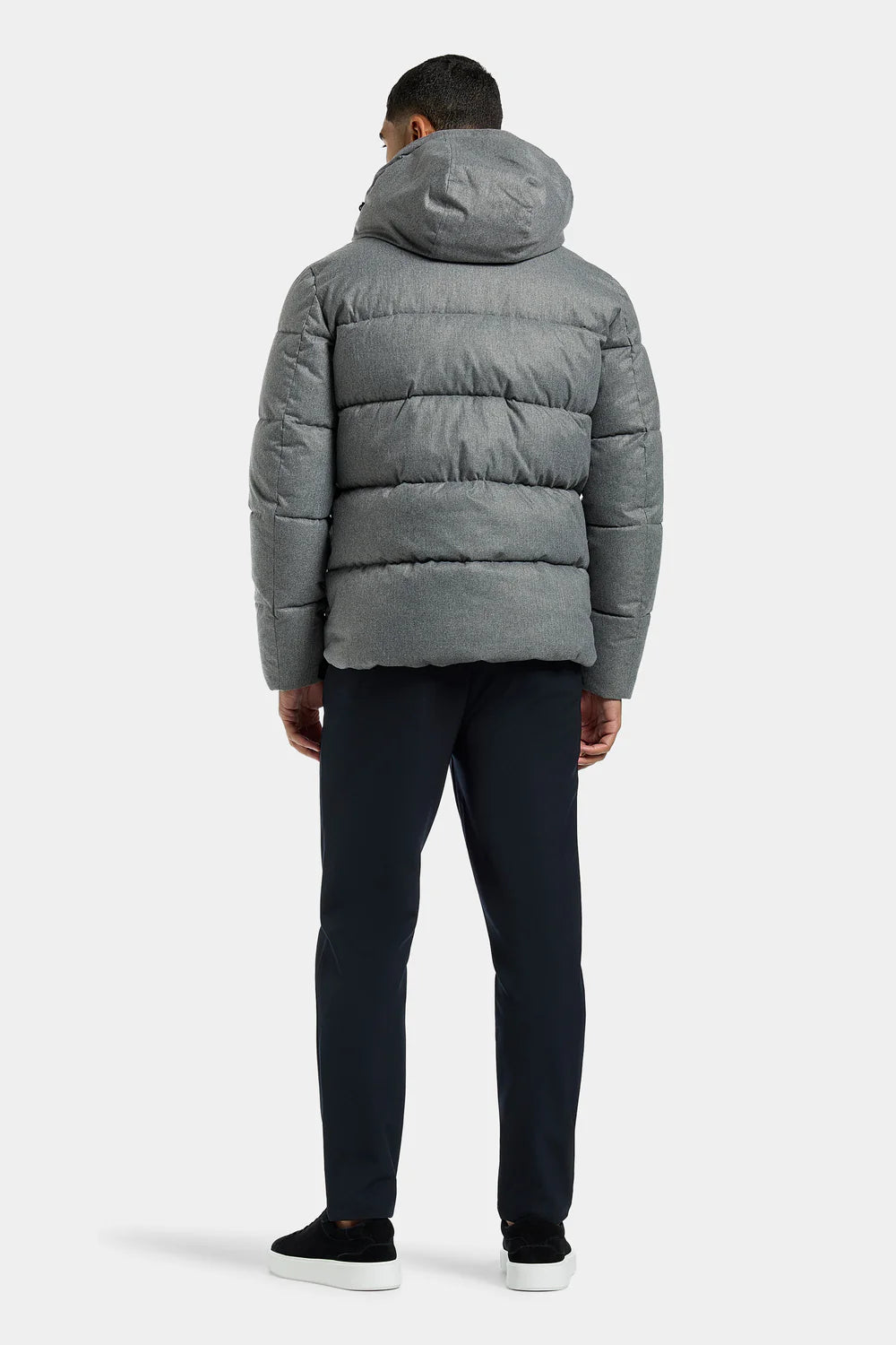 Monarch Hooded Puffer