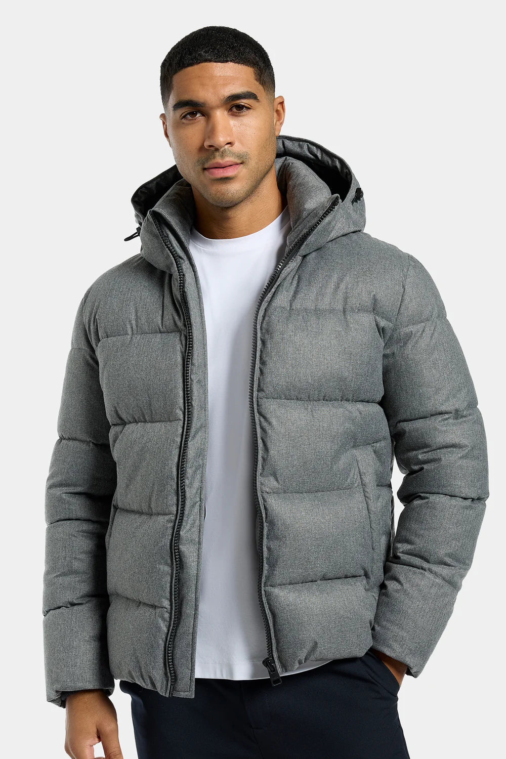 Monarch Hooded Puffer